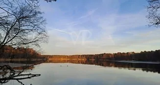 von_poll_real_estate_property_25016017_image_19