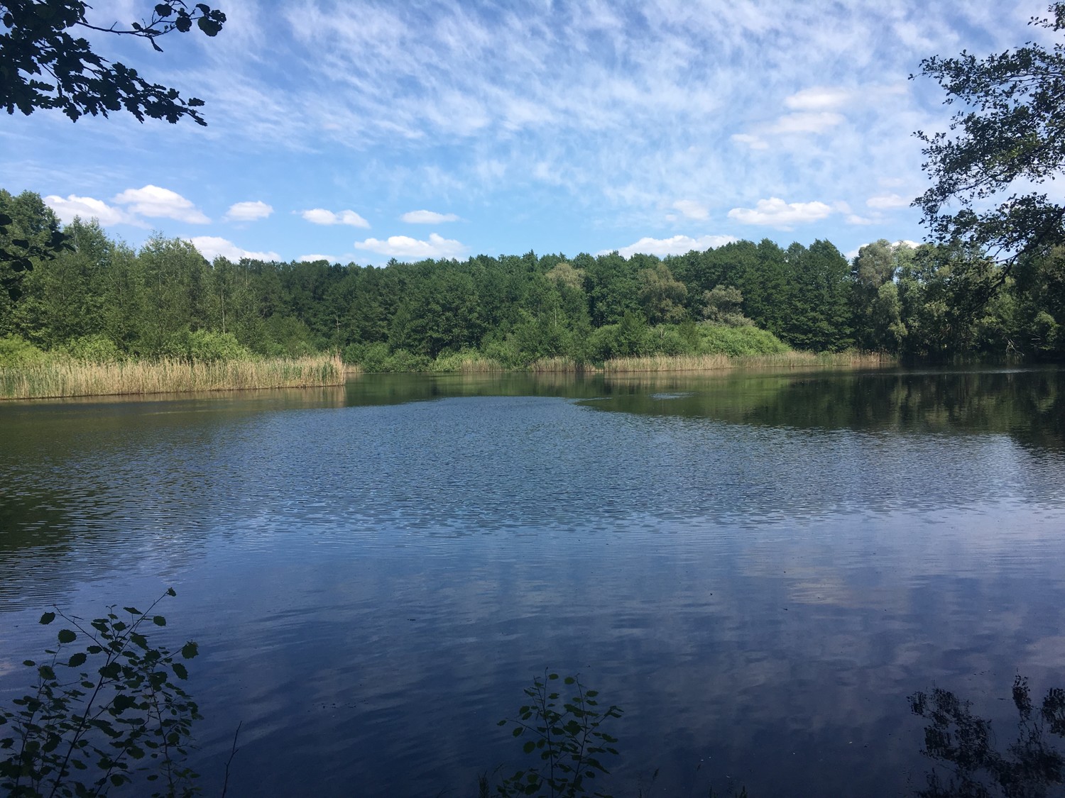 Musterfoto