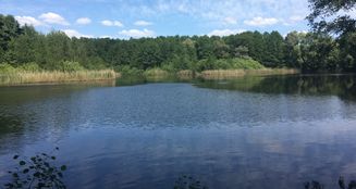 von_poll_real_estate_property_25343034-SECRET_image_1
