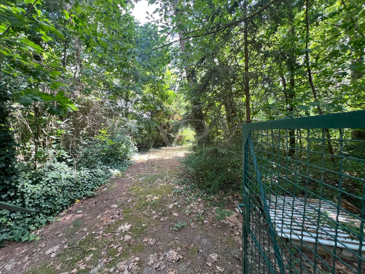 Zugang zum Grundstück