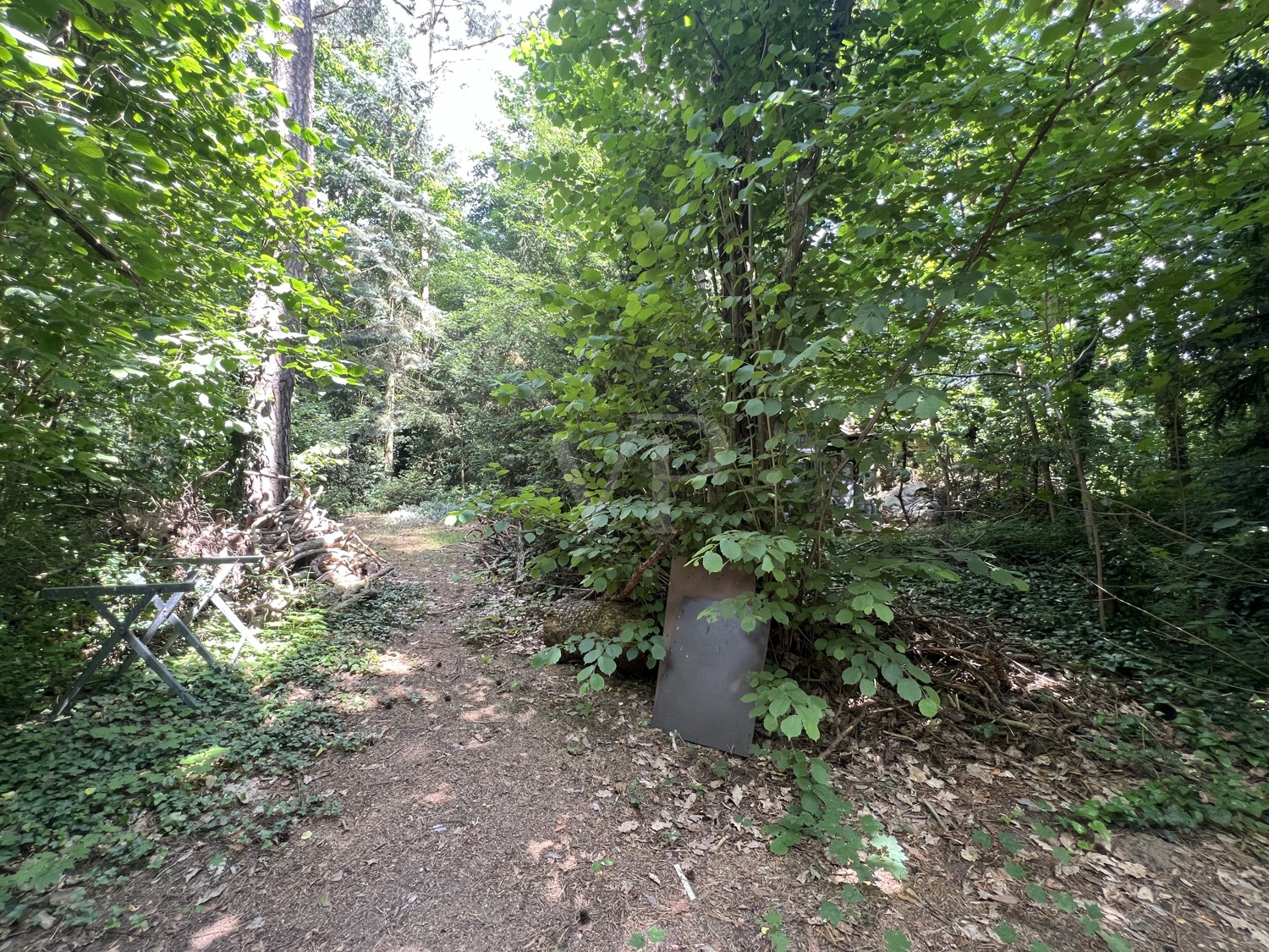 hinterer Grundstücksteil