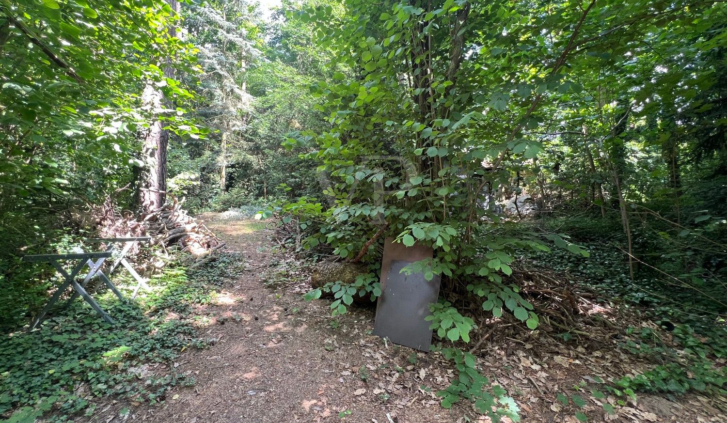 hinterer Grundstücksteil