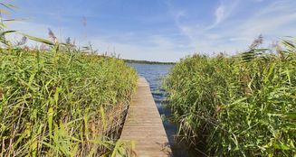 von_poll_real_estate_property_24206043-H_image_11