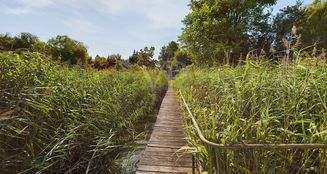 von_poll_real_estate_property_24206043-H_image_12