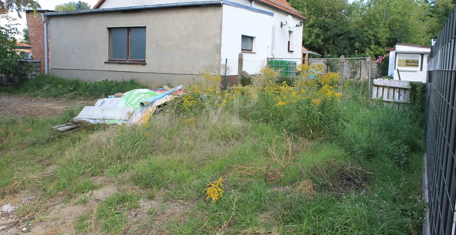 linker Bereich hinten