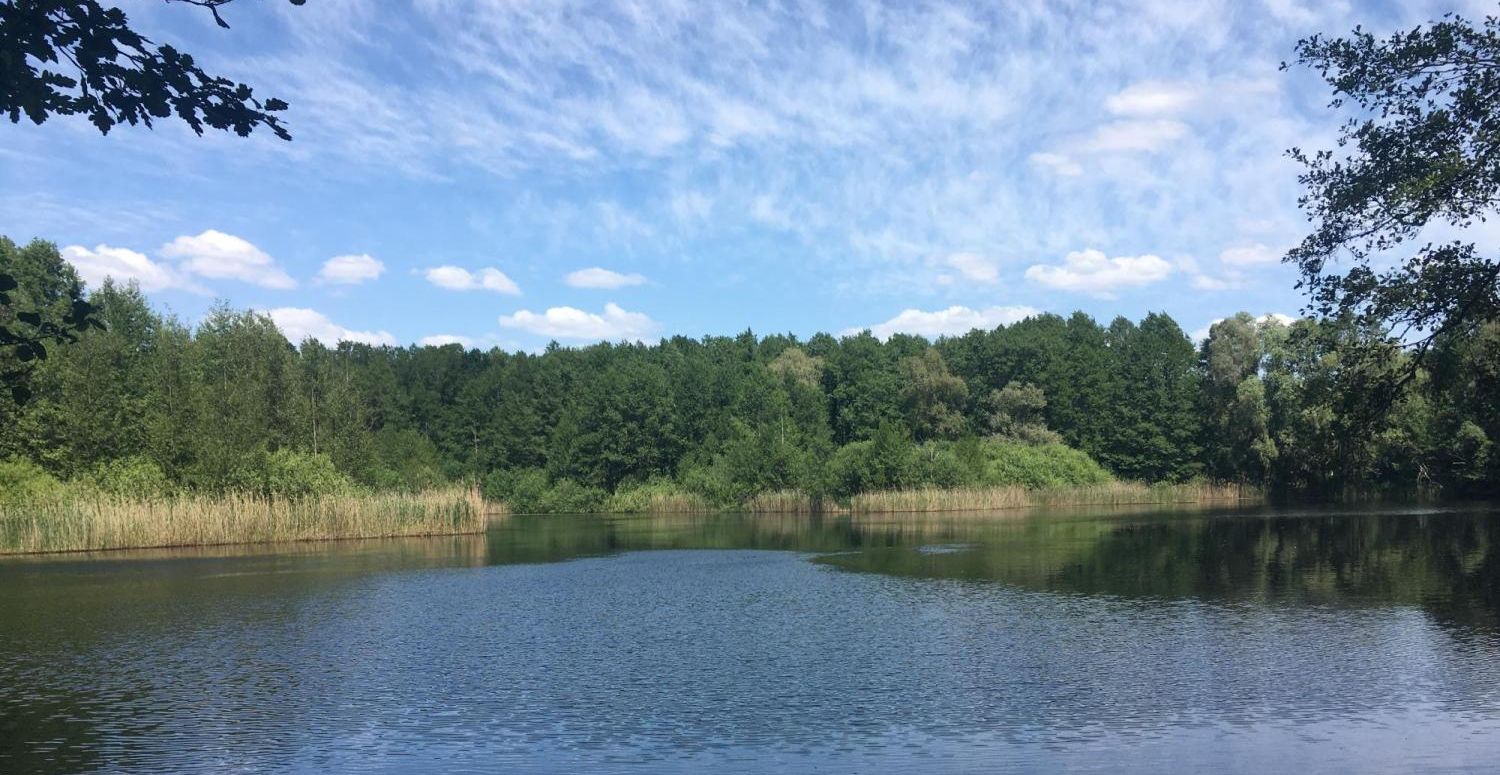 Blick auf das Wasser