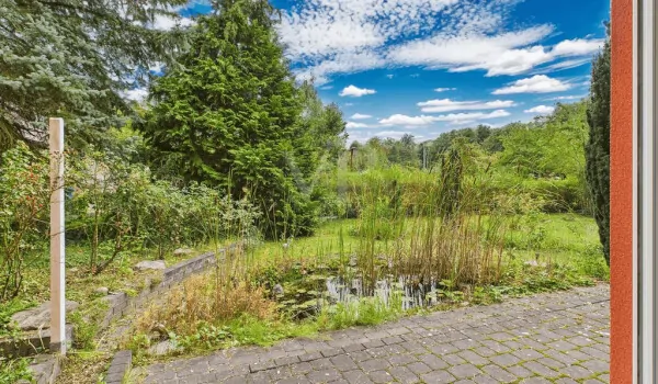 Blick vom Wohnzimmer in den Garten