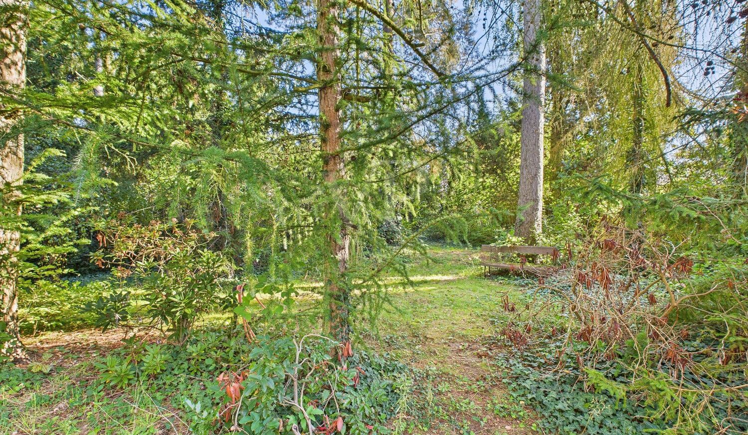 Blick in den Garten