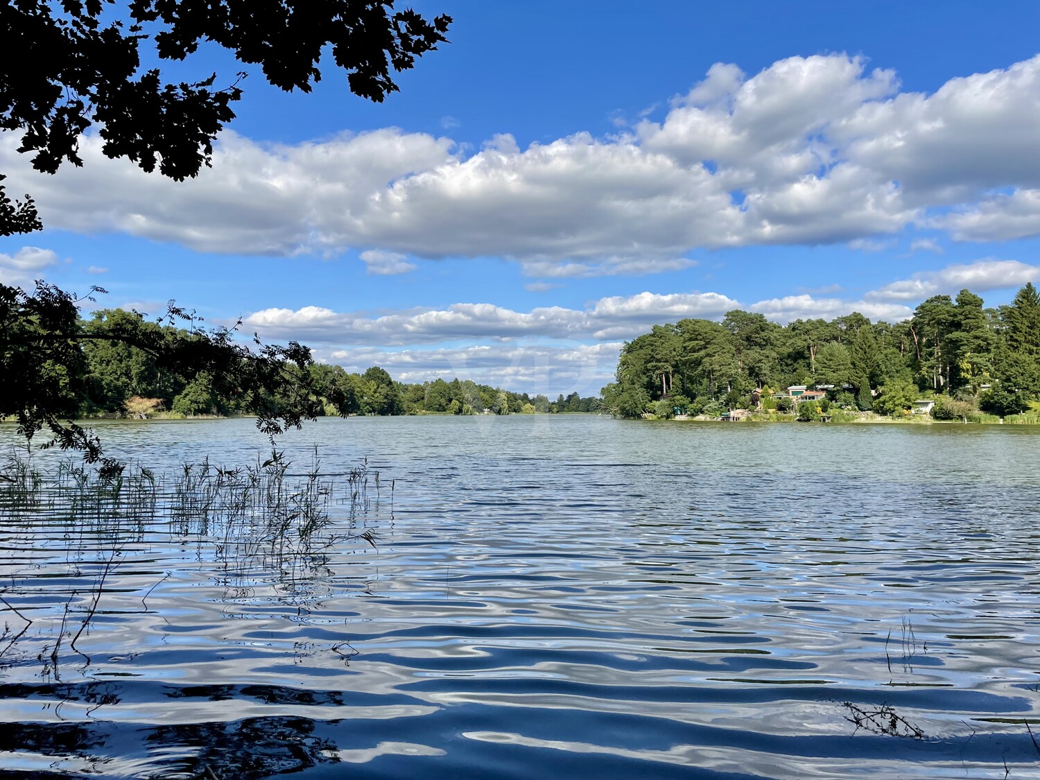 Elsensee