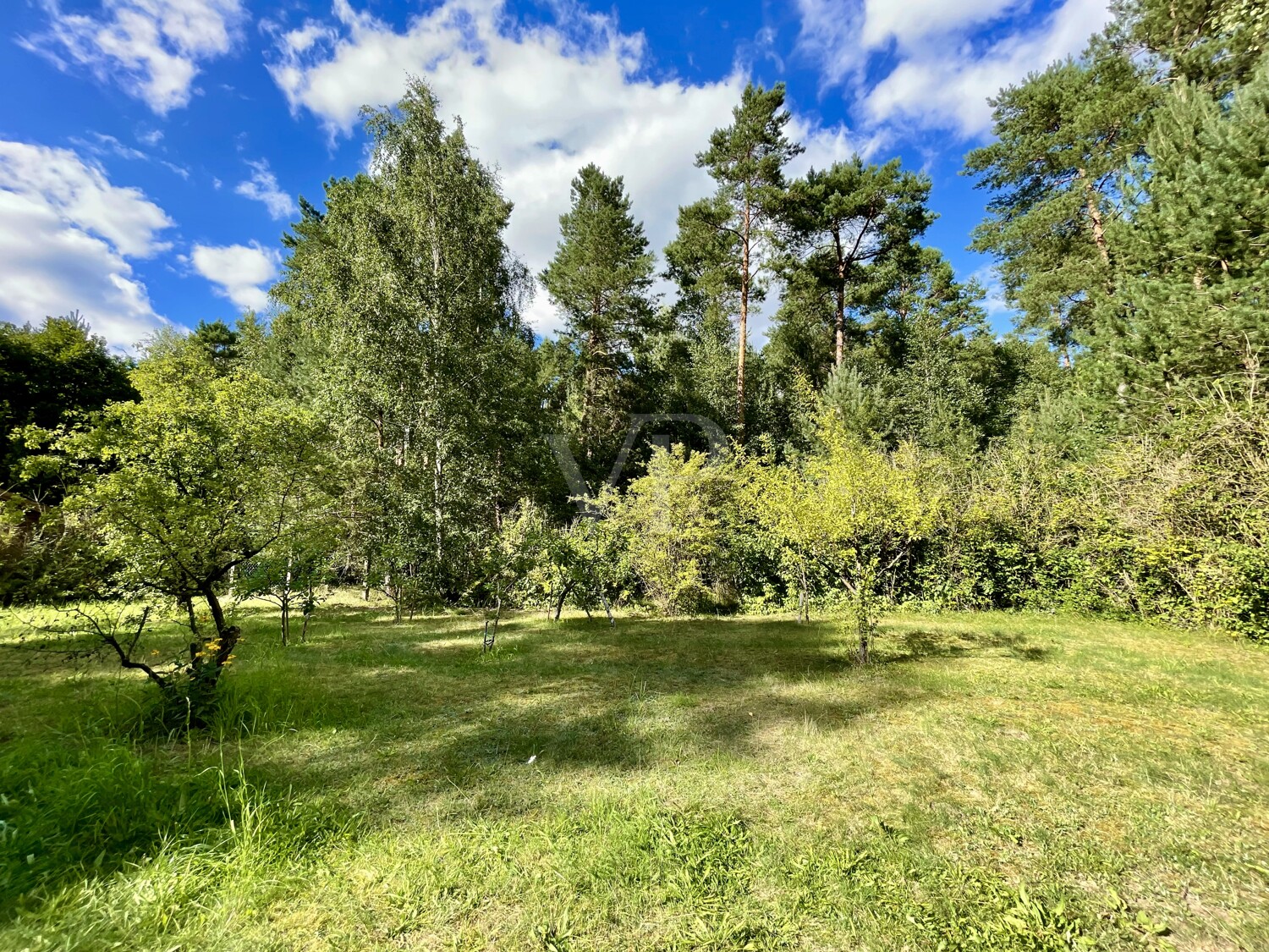 Garten hinten