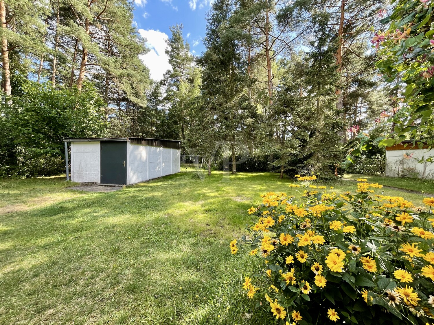 Garten vorn