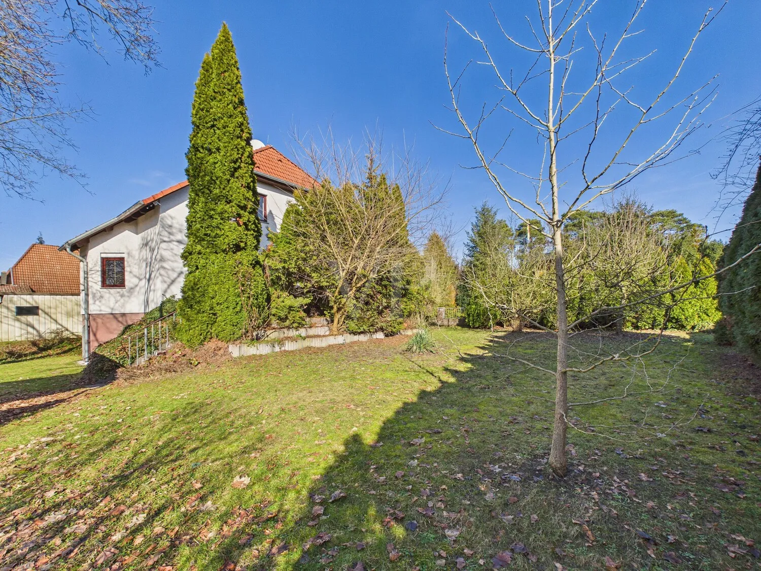 Blick in den Garten