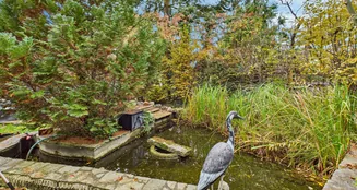 von_poll_real_estate_property_25206087_image_4