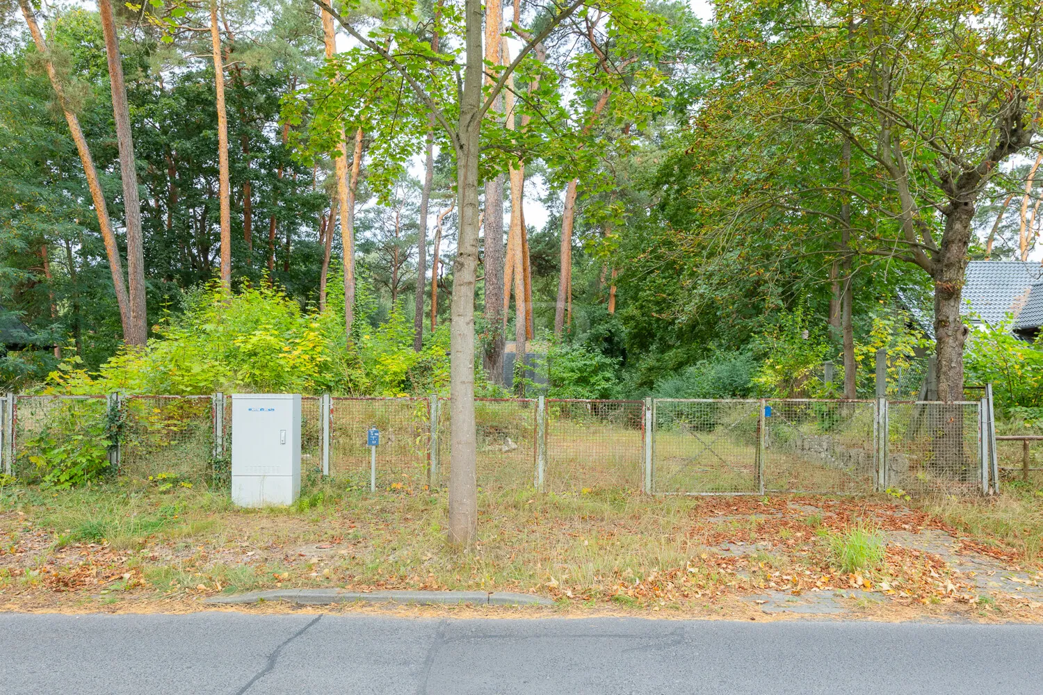 Blick von der Straße auf das Grundstück