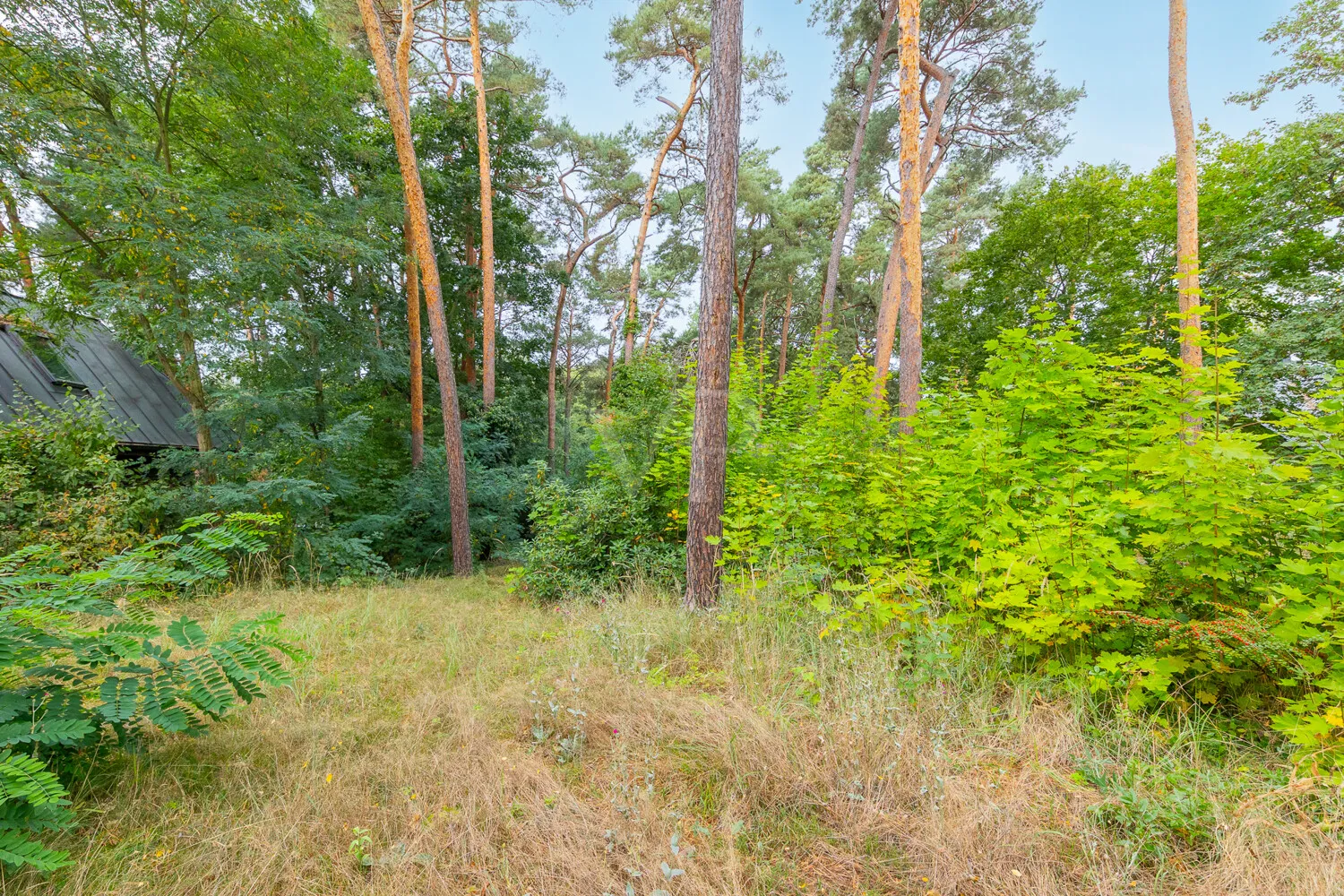 Blick von der Einfahrt auf das Grundstück