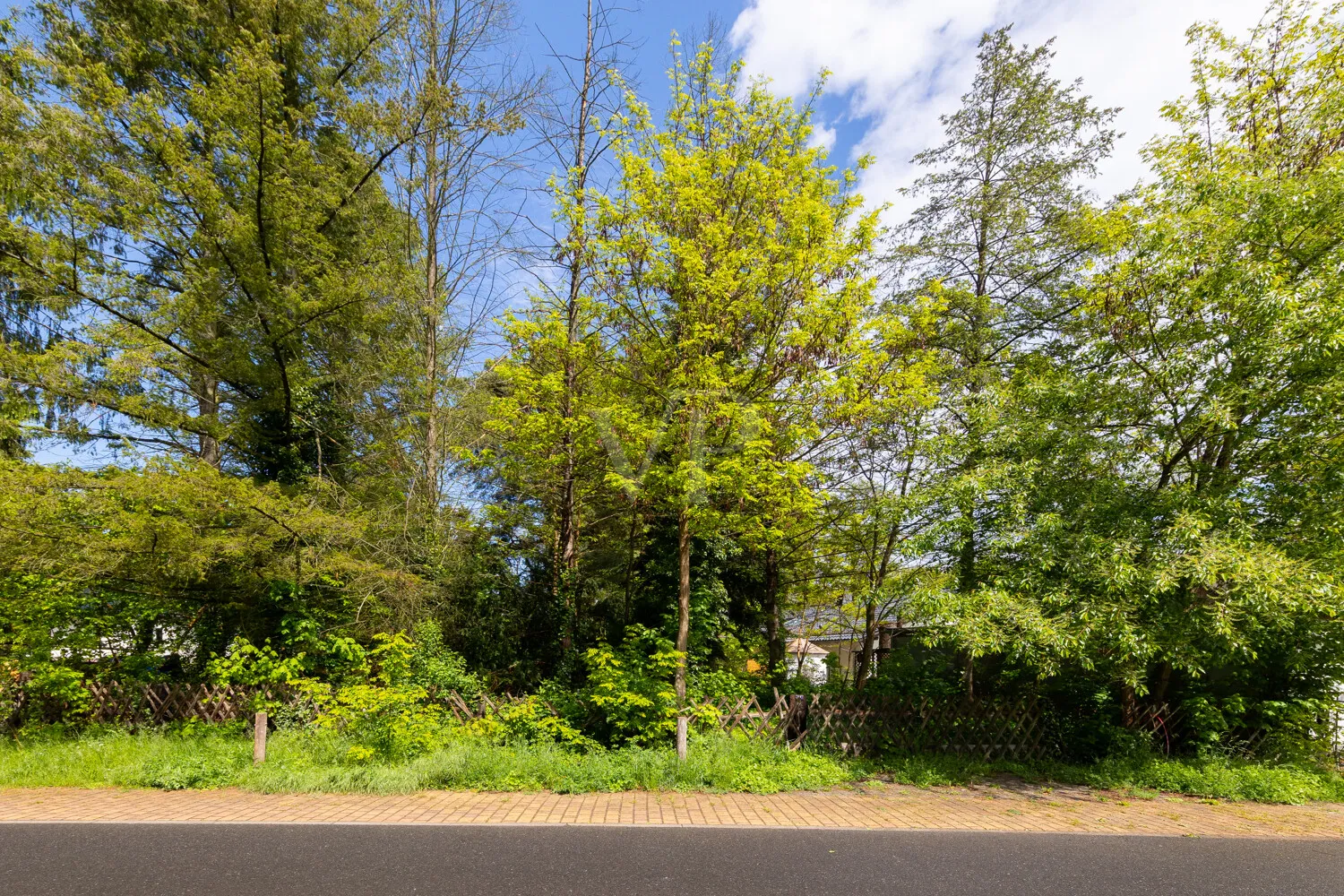 Grundstücksansicht von der Straße
