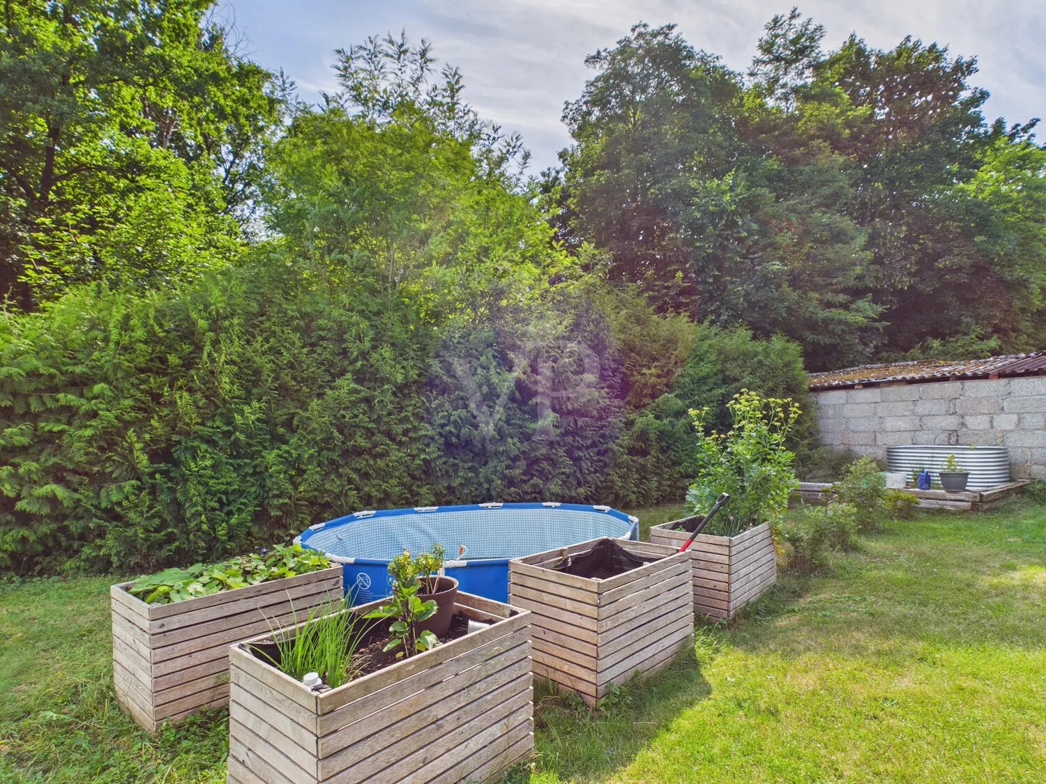 Blick in den Garten