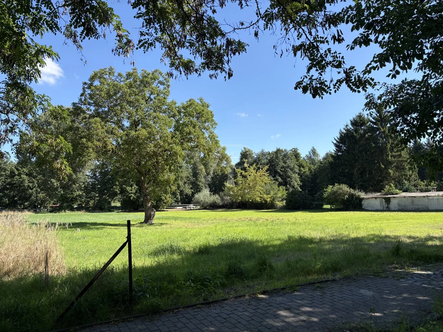 Blick rechtseitig