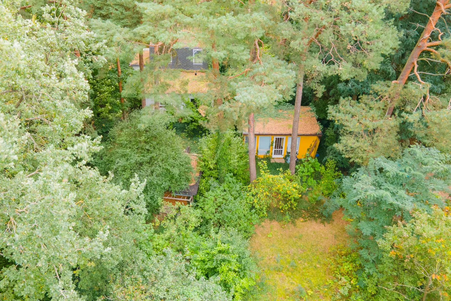 Blick auf das Grundstück von oben (Vogelperspektive)