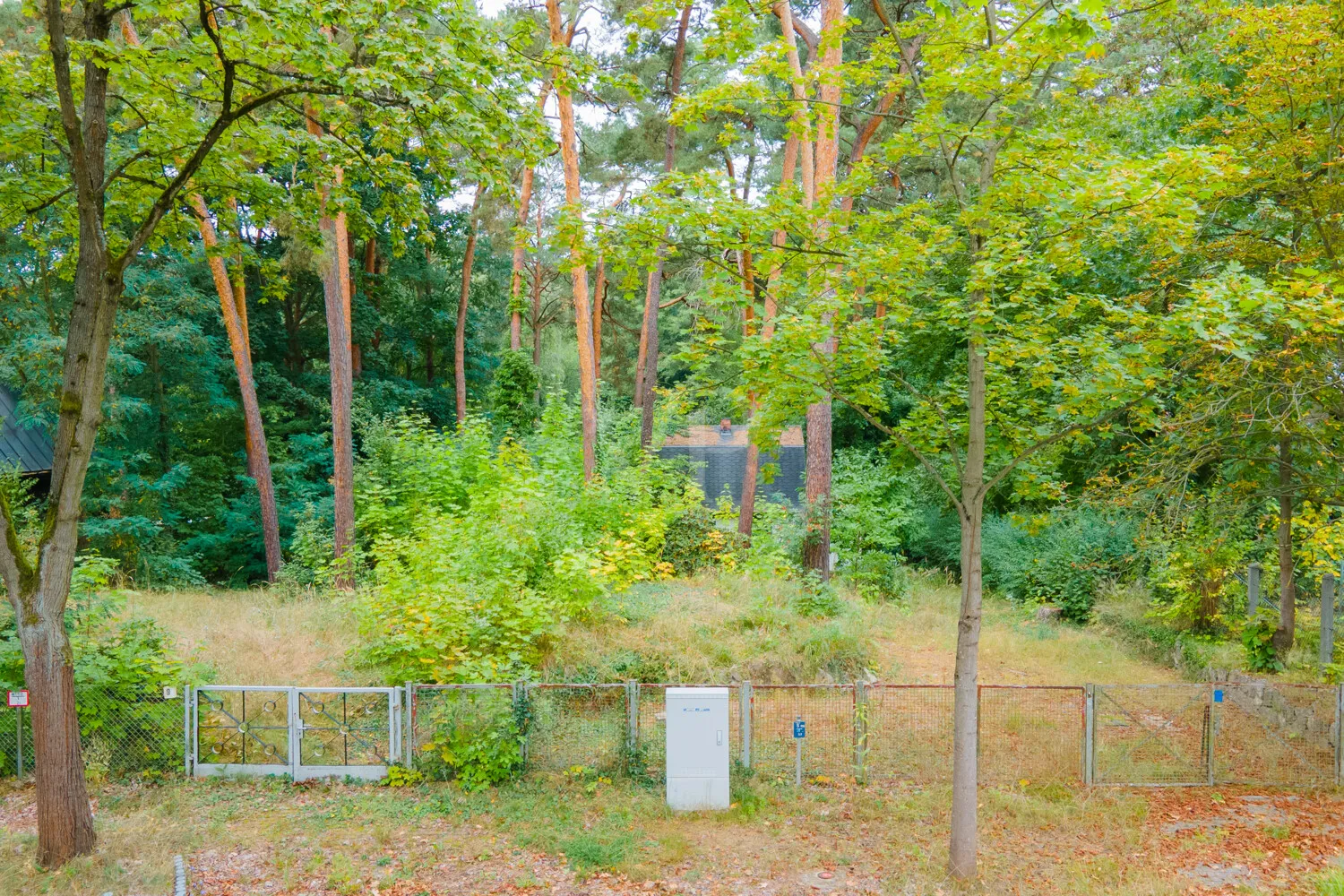 Blick von der Straße auf das Grundstück (Vogelperspektive)