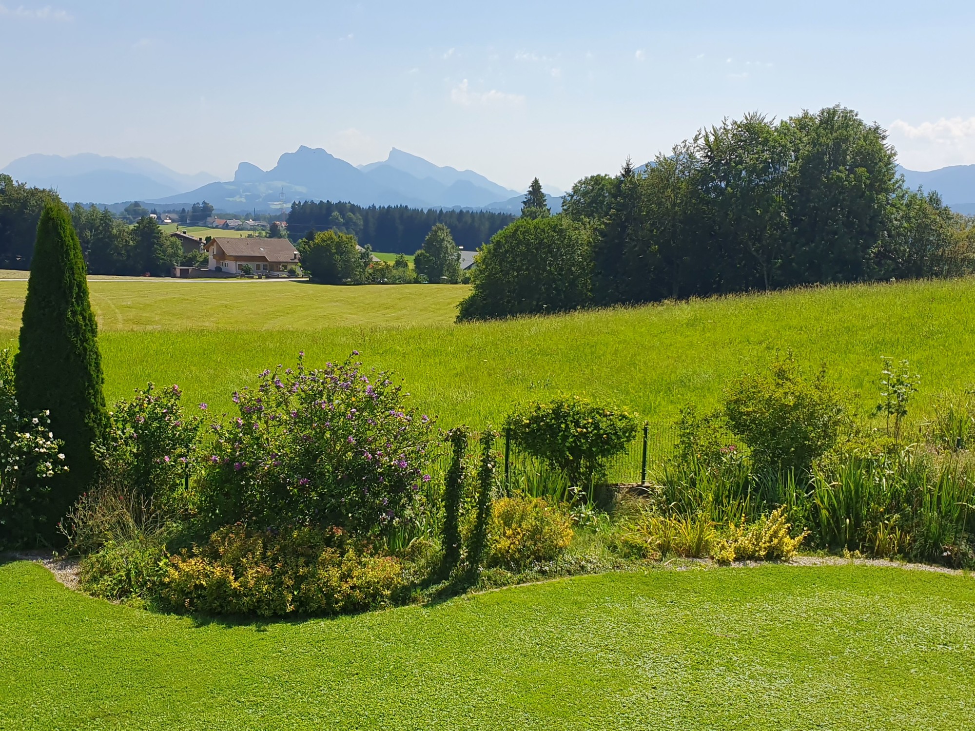 Garten- Grün- u Bergblick