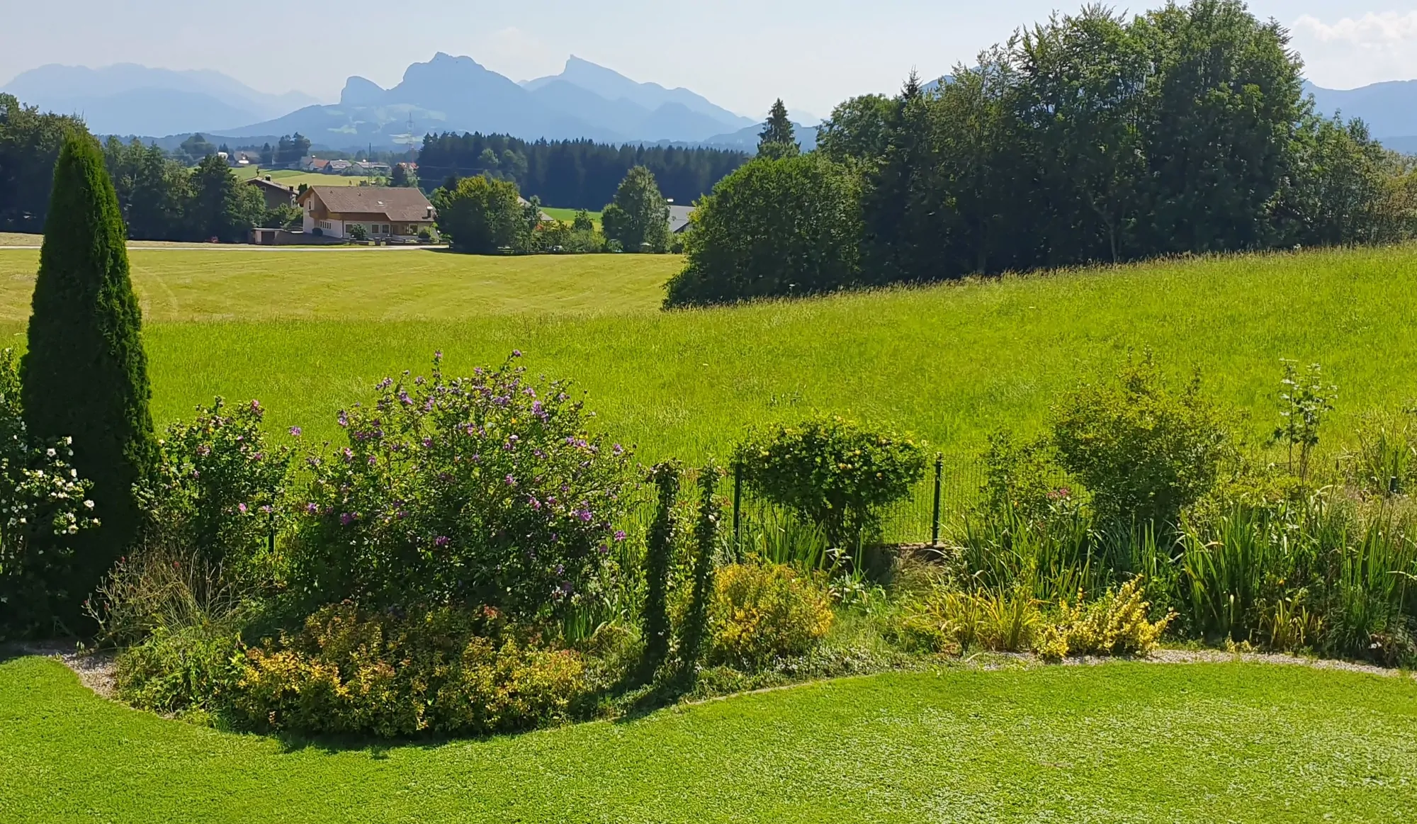 Garten- Grün- u Bergblick