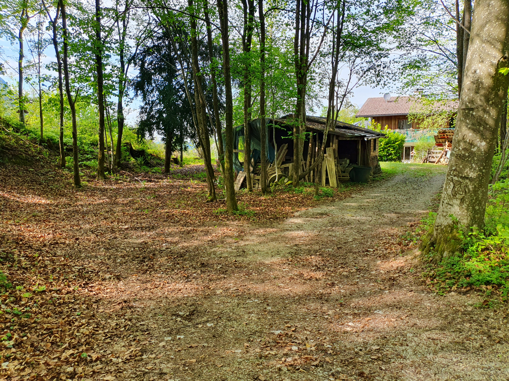Wald