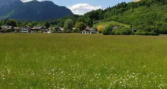 von_poll_real_estate_property_MR2025G0502_image_5