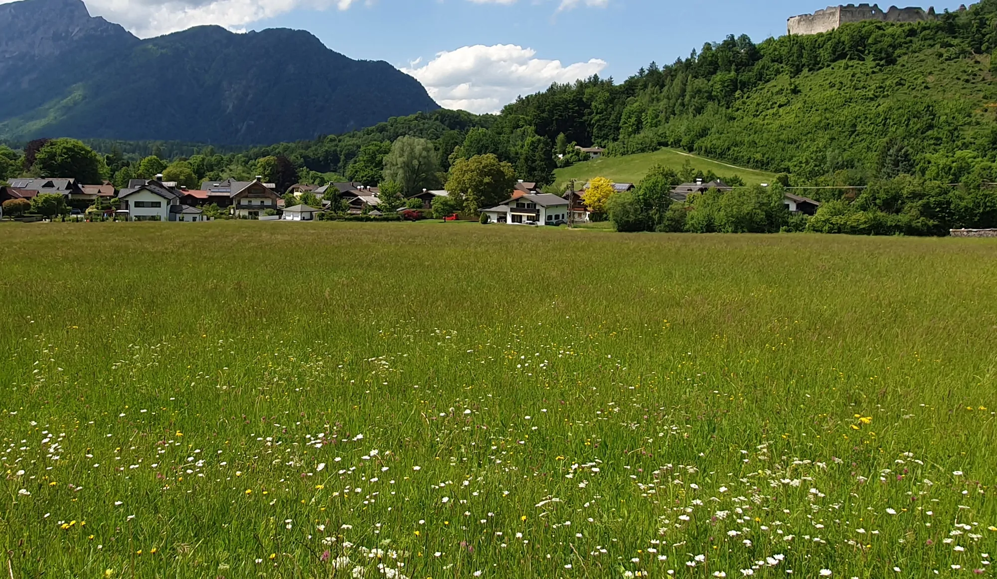 Blick aufs  Grundstück v Süden nach Norden