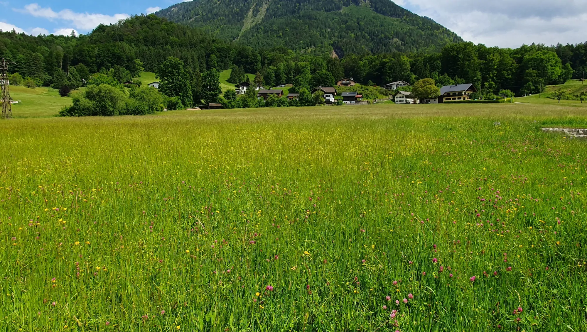 Untersbergblick im Osten