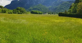 von_poll_real_estate_property_MR2025G0502_image_4