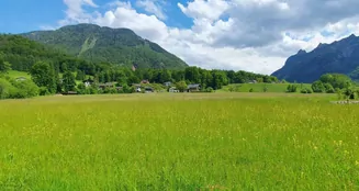 von_poll_real_estate_property_MR2025G0502_image_0