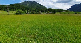 von_poll_real_estate_property_MR2025G0502_image_3