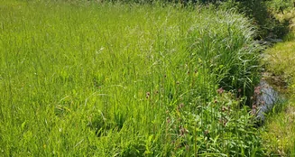 von_poll_real_estate_property_MR2025G0502_image_6