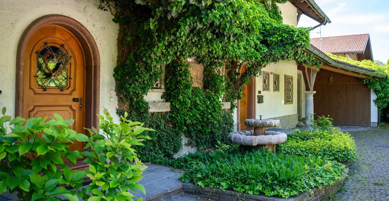 Eingang Zufahrt Haustüren