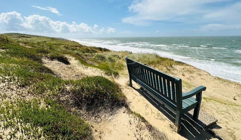Wohnen in der 1. Reihe