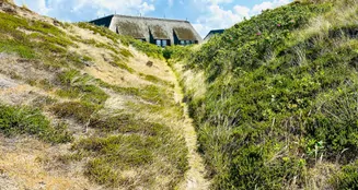 von_poll_real_estate_property_24073030_image_3