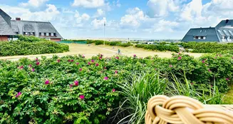 von_poll_real_estate_property_24073030_image_4