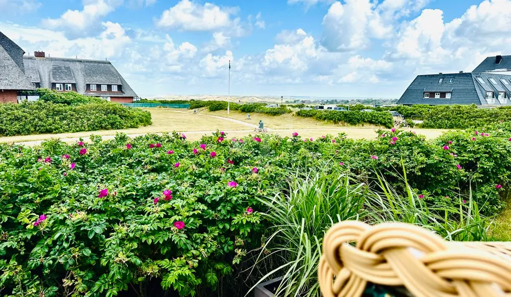 Wohnen in der 1. Reihe