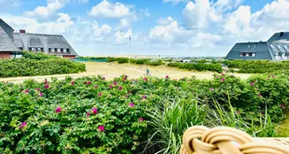 von_poll_real_estate_property_24073030_image_4