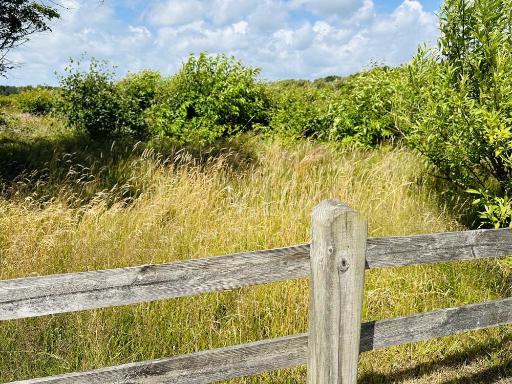 VON POLL SYLT