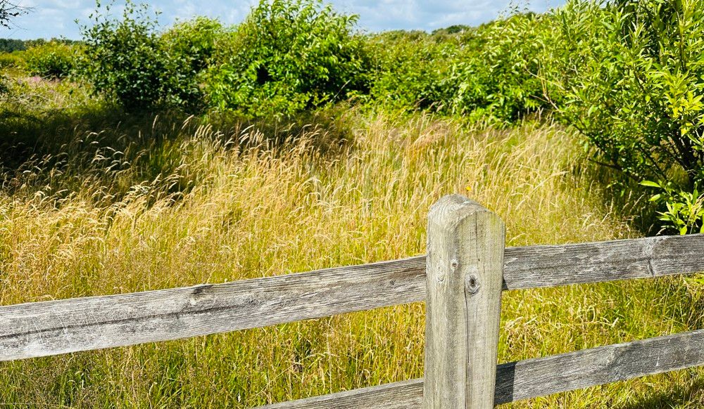 VON POLL SYLT