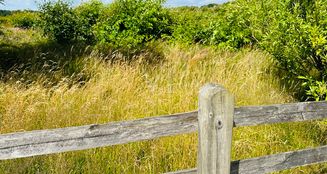 von_poll_real_estate_property_25235023_image_3