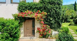 von_poll_real_estate_property_25024010_image_0