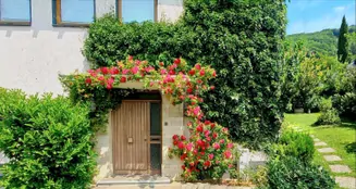 von_poll_real_estate_property_25024010_image_0