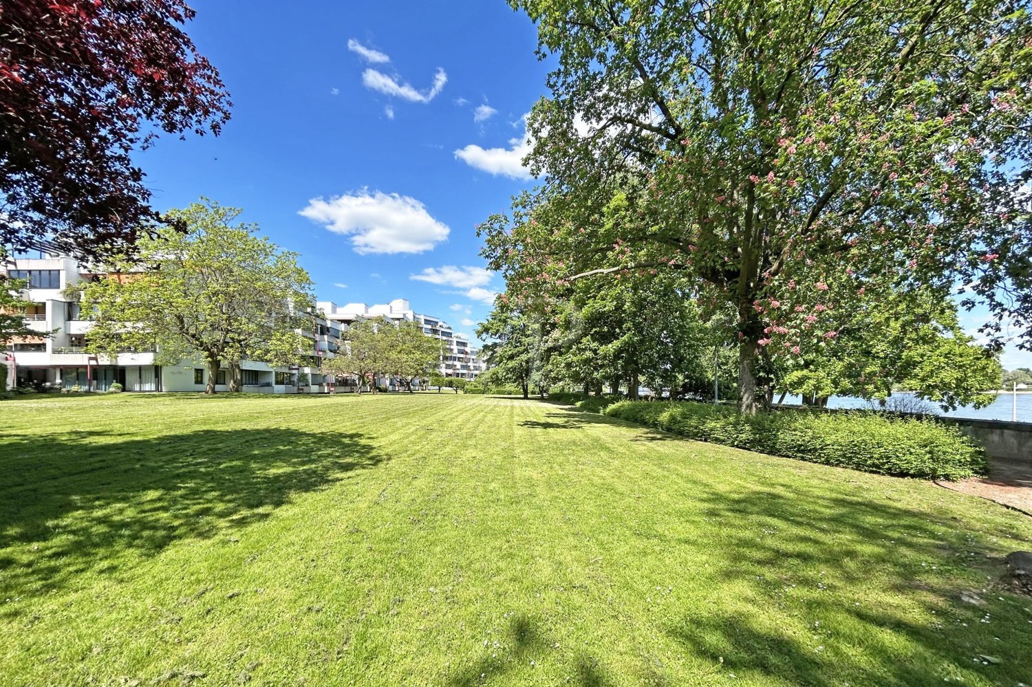 Exklusiver Privatbereich für alle Hausbewohner  mit direktem Zugang zur Rheinpromenade
