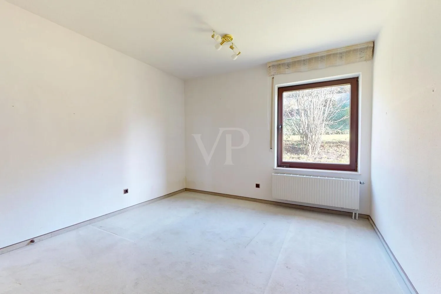 Zimmer EG