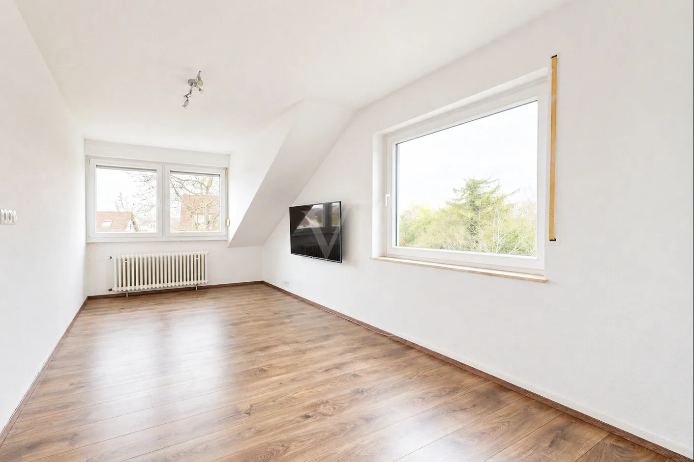 Zimmer DG
