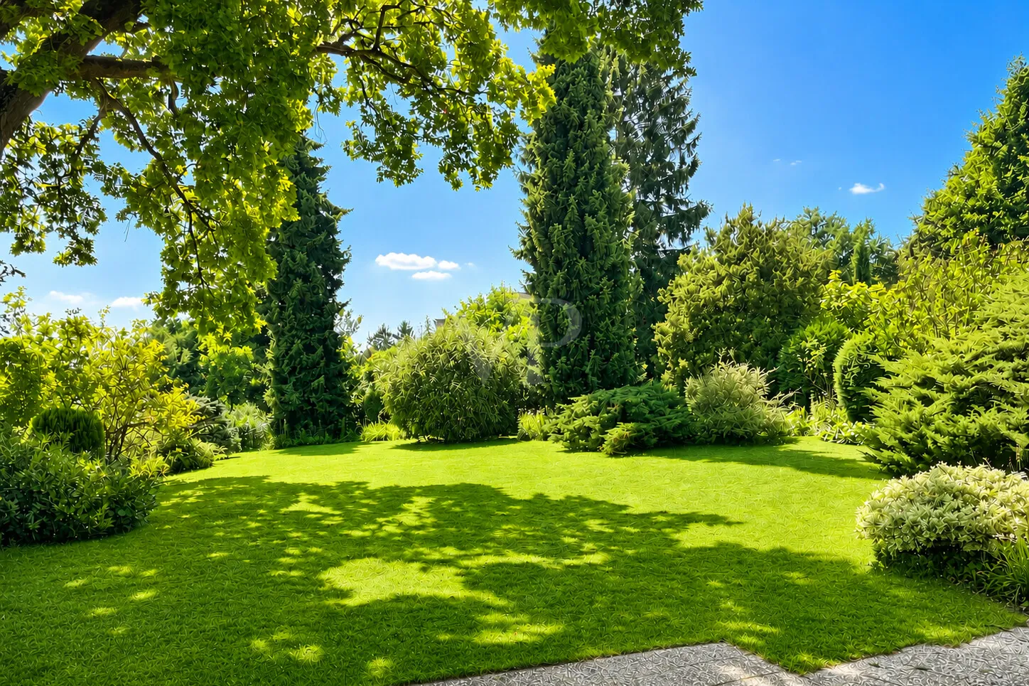 Blick in den Garten