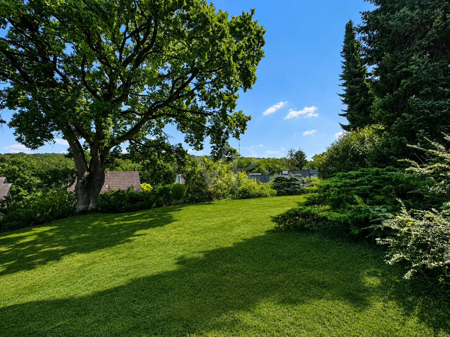 Blick in den Garten